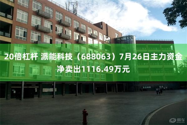 20倍杠杆 派能科技（688063）7月26日主力资金净卖出1116.49万元