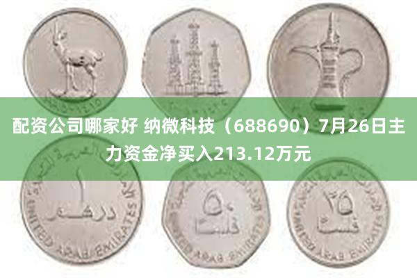 配资公司哪家好 纳微科技（688690）7月26日主力资金净买入213.12万元