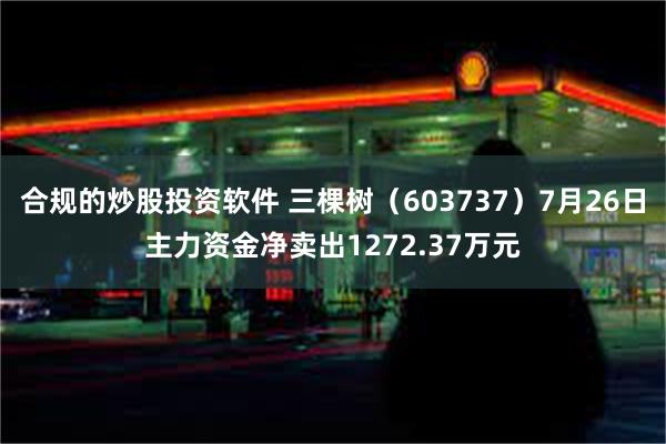 合规的炒股投资软件 三棵树（603737）7月26日主力资金净卖出1272.37万元