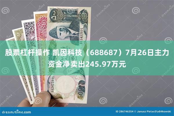 股票杠杆操作 凯因科技（688687）7月26日主力资金净卖出245.97万元