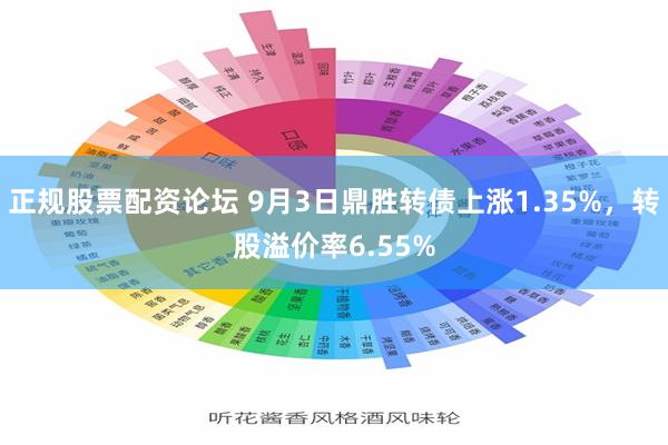 正规股票配资论坛 9月3日鼎胜转债上涨1.35%，转股溢价率6.55%