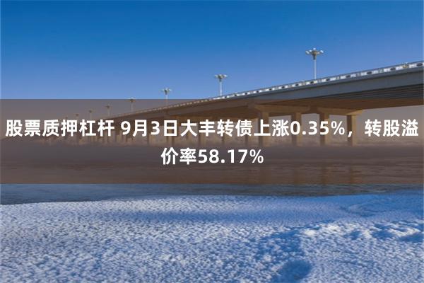 股票质押杠杆 9月3日大丰转债上涨0.35%，转股溢价率58.17%