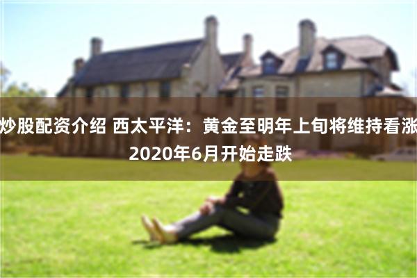 炒股配资介绍 西太平洋：黄金至明年上旬将维持看涨 2020年6月开始走跌