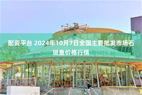 配资平台 2024年10月7日全国主要批发市场石斑鱼价格行情