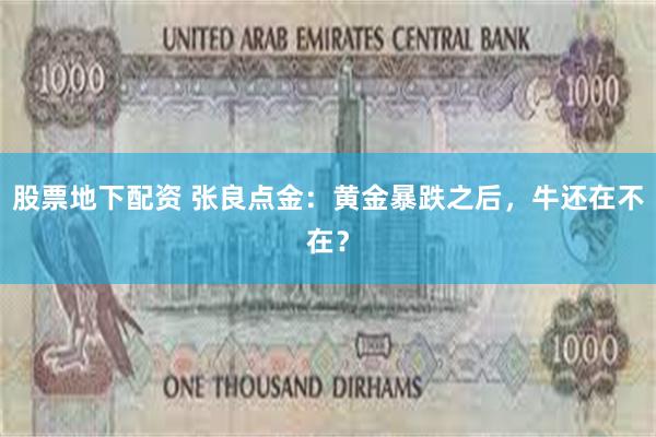 股票地下配资 张良点金：黄金暴跌之后，牛还在不在？