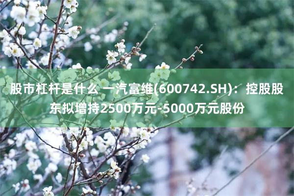 股市杠杆是什么 一汽富维(600742.SH)：控股股东拟增持2500万元-5000万元股份