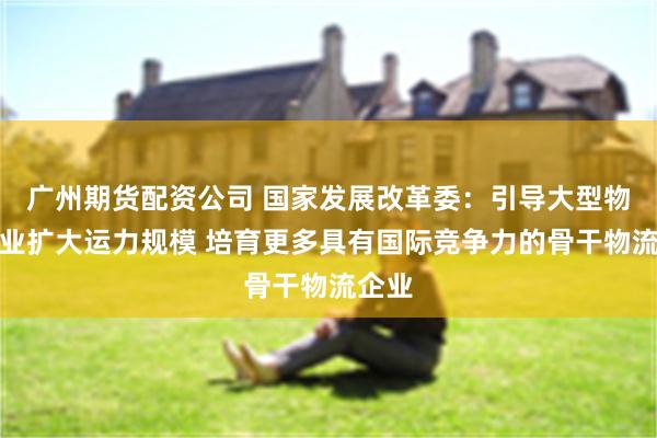 广州期货配资公司 国家发展改革委：引导大型物流企业扩大运力规模 培育更多具有国际竞争力的骨干物流企业