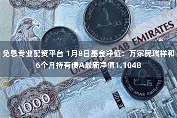 免息专业配资平台 1月8日基金净值：万家民瑞祥和6个月持有债A最新净值1.1048