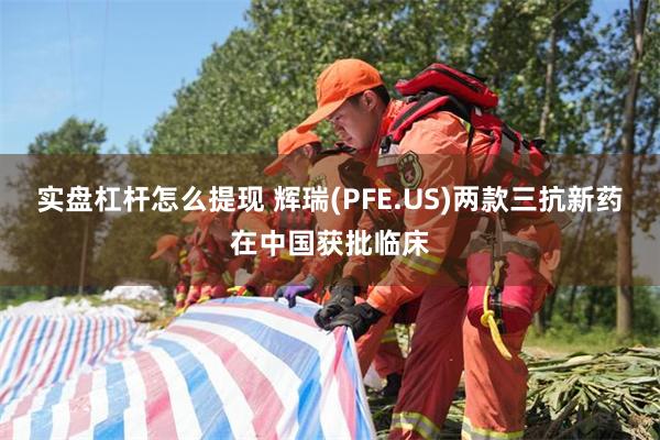 实盘杠杆怎么提现 辉瑞(PFE.US)两款三抗新药在中国获批临床