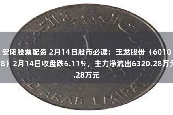 安阳股票配资 2月14日股市必读：玉龙股份（601028）2月14日收盘跌6.11%，主力净流出6320.28万元