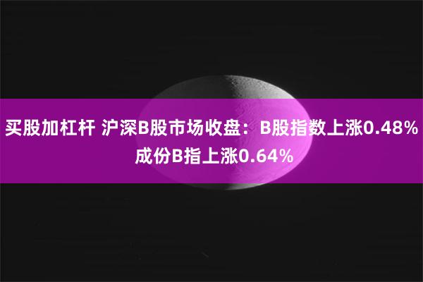 买股加杠杆 沪深B股市场收盘：B股指数上涨0.48% 成份B指上涨0.64%